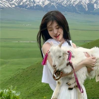 间谍亚契第五季